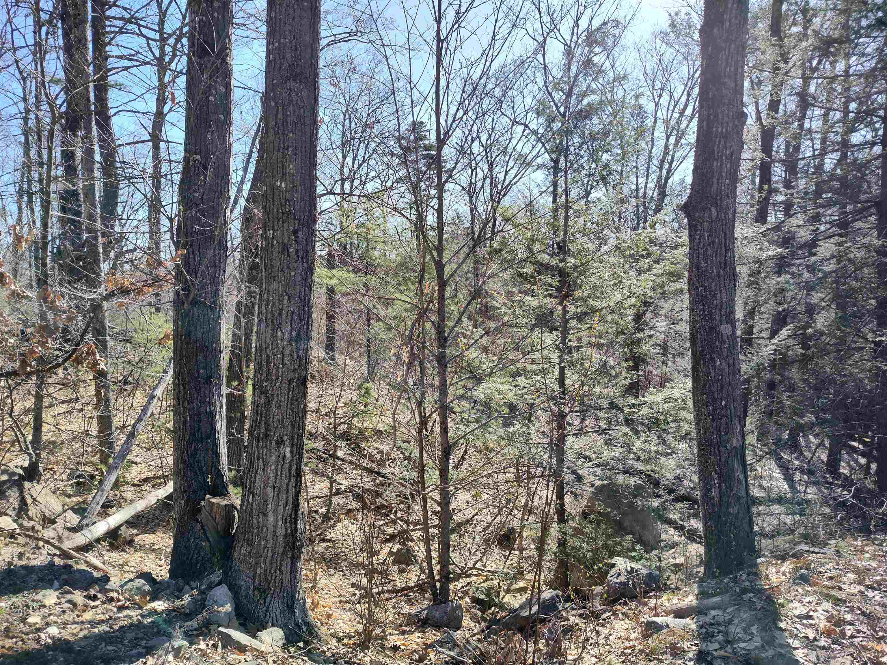 Lot 8 Clark Hill Road, Unit 8 New Boston, NH 03070 - Photo 20 of 31 Gallery Image 20