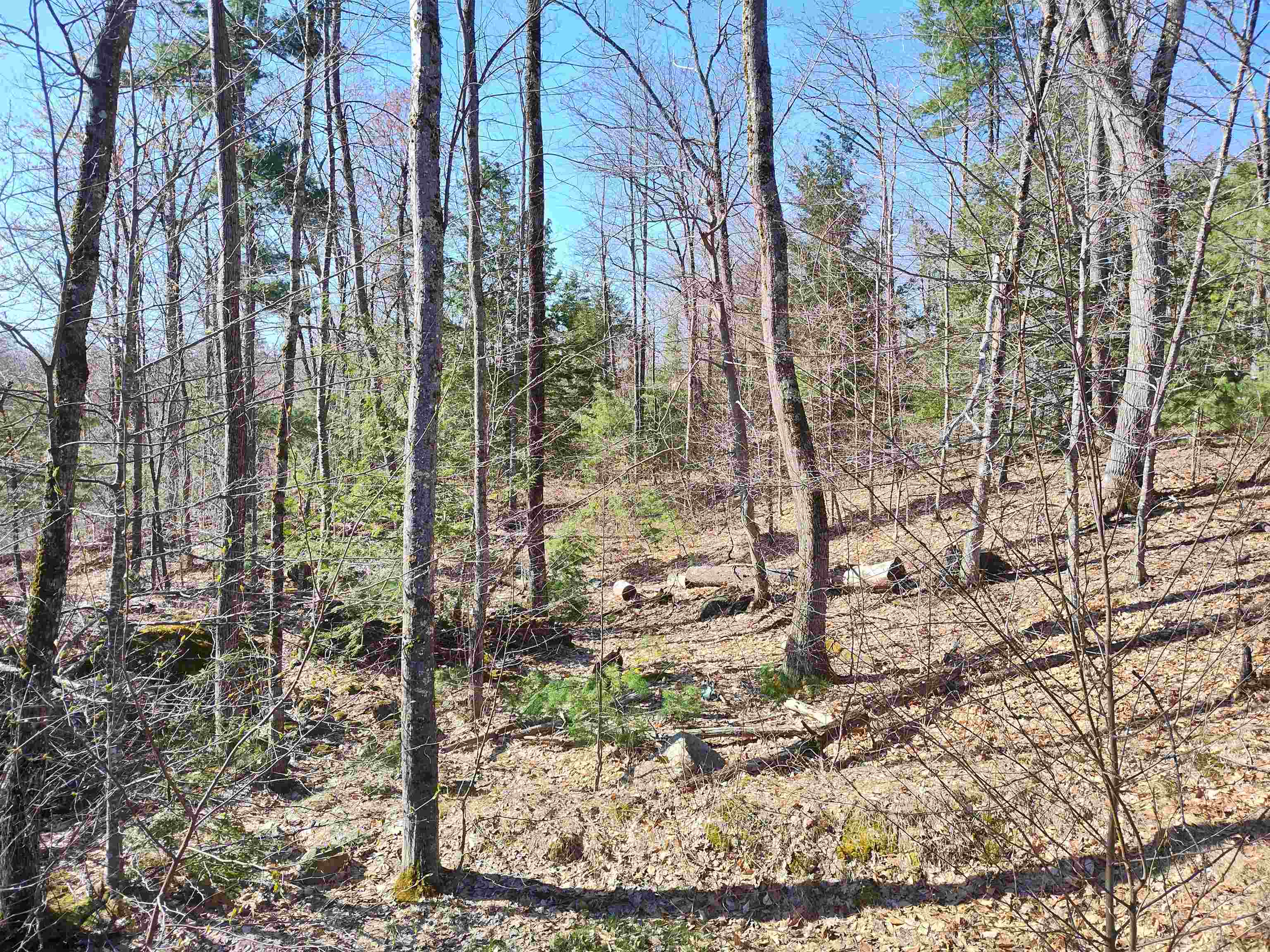 Lot 8 Clark Hill Road, Unit 8 New Boston, NH 03070 - Photo 26 of 31 Gallery Image 26