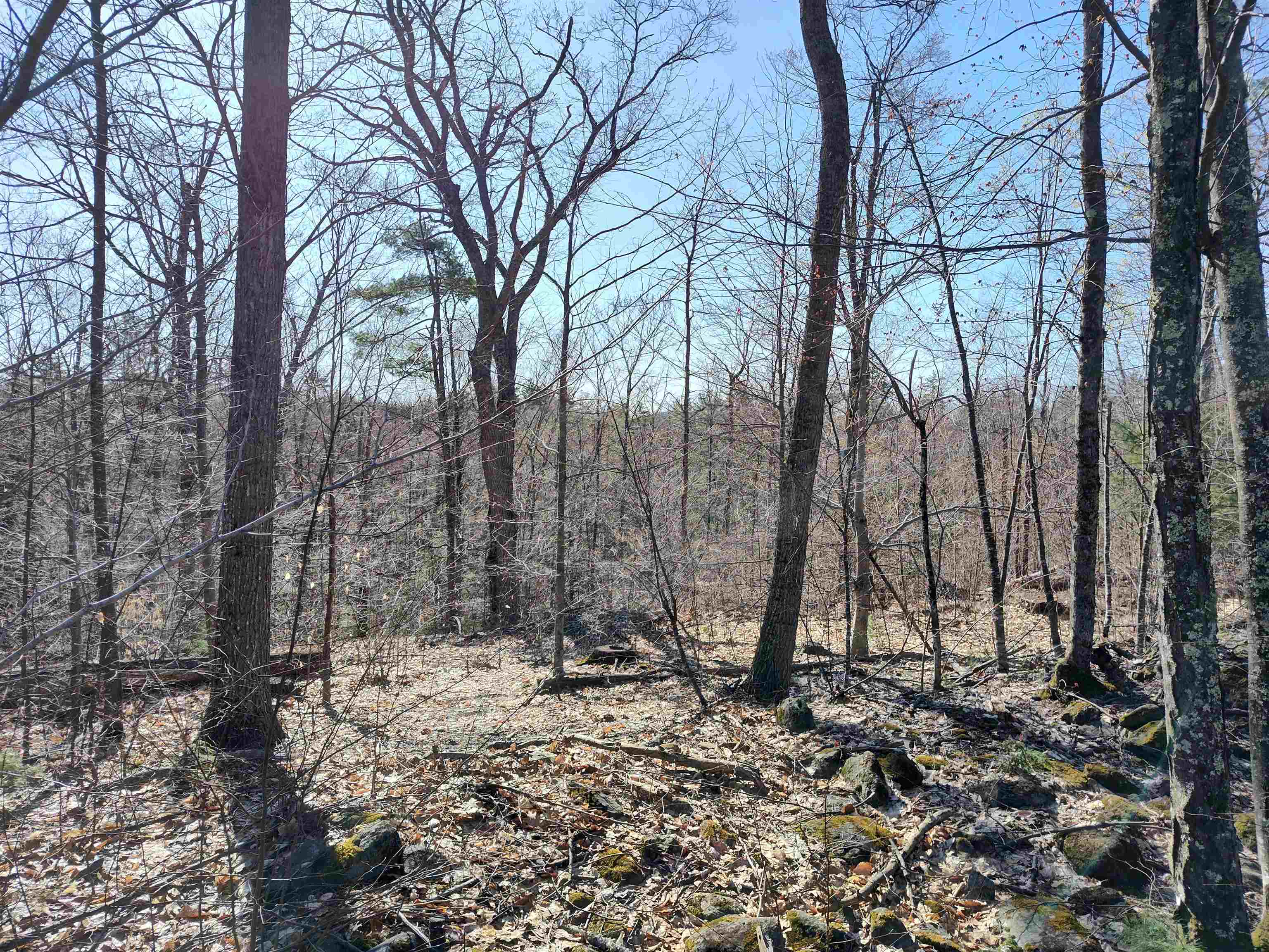 Lot 8 Clark Hill Road, Unit 8 New Boston, NH 03070 - Photo 28 of 31 Gallery Image 28