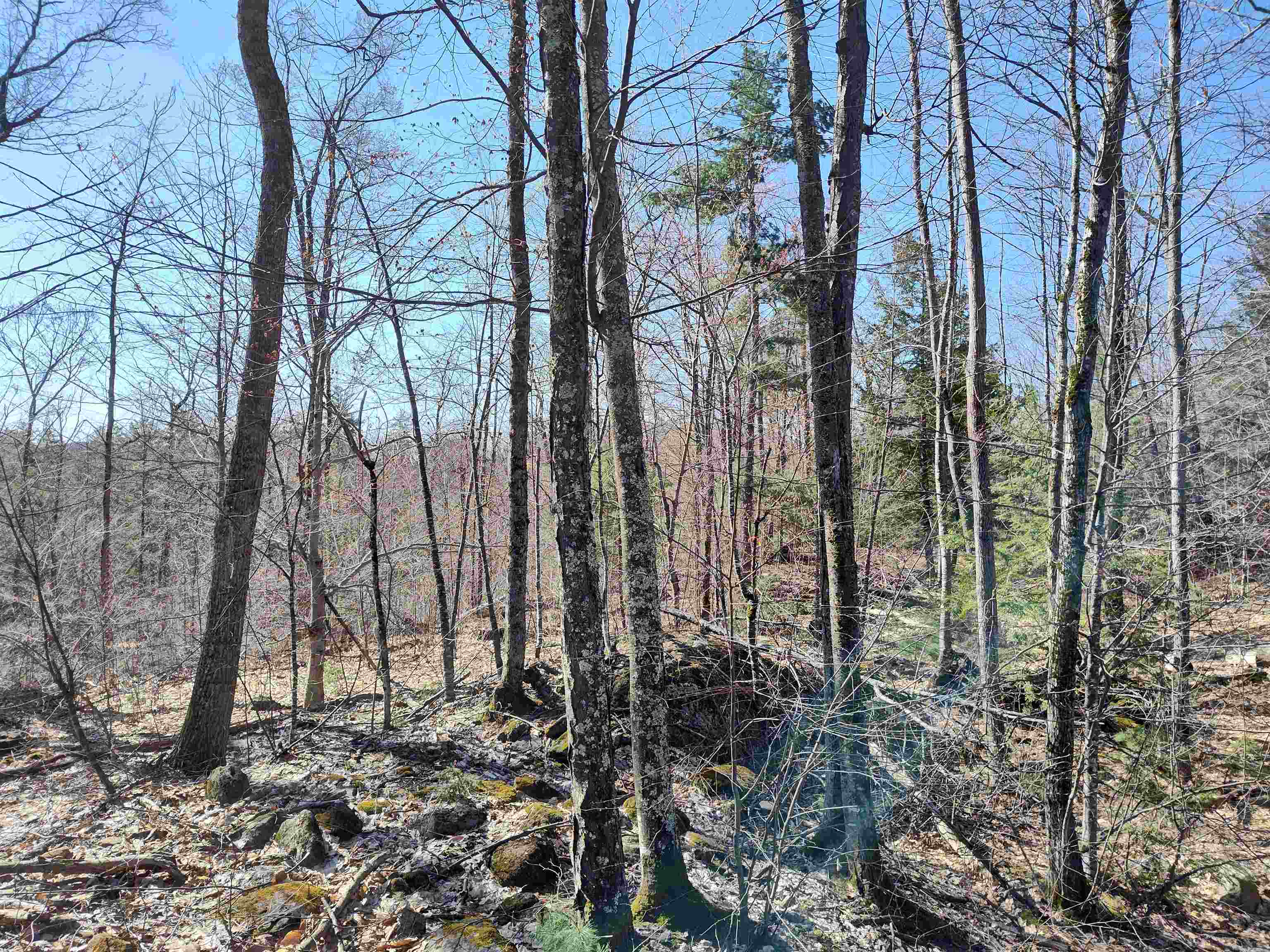 Lot 8 Clark Hill Road, Unit 8 New Boston, NH 03070 - Photo 29 of 31 Gallery Image 29