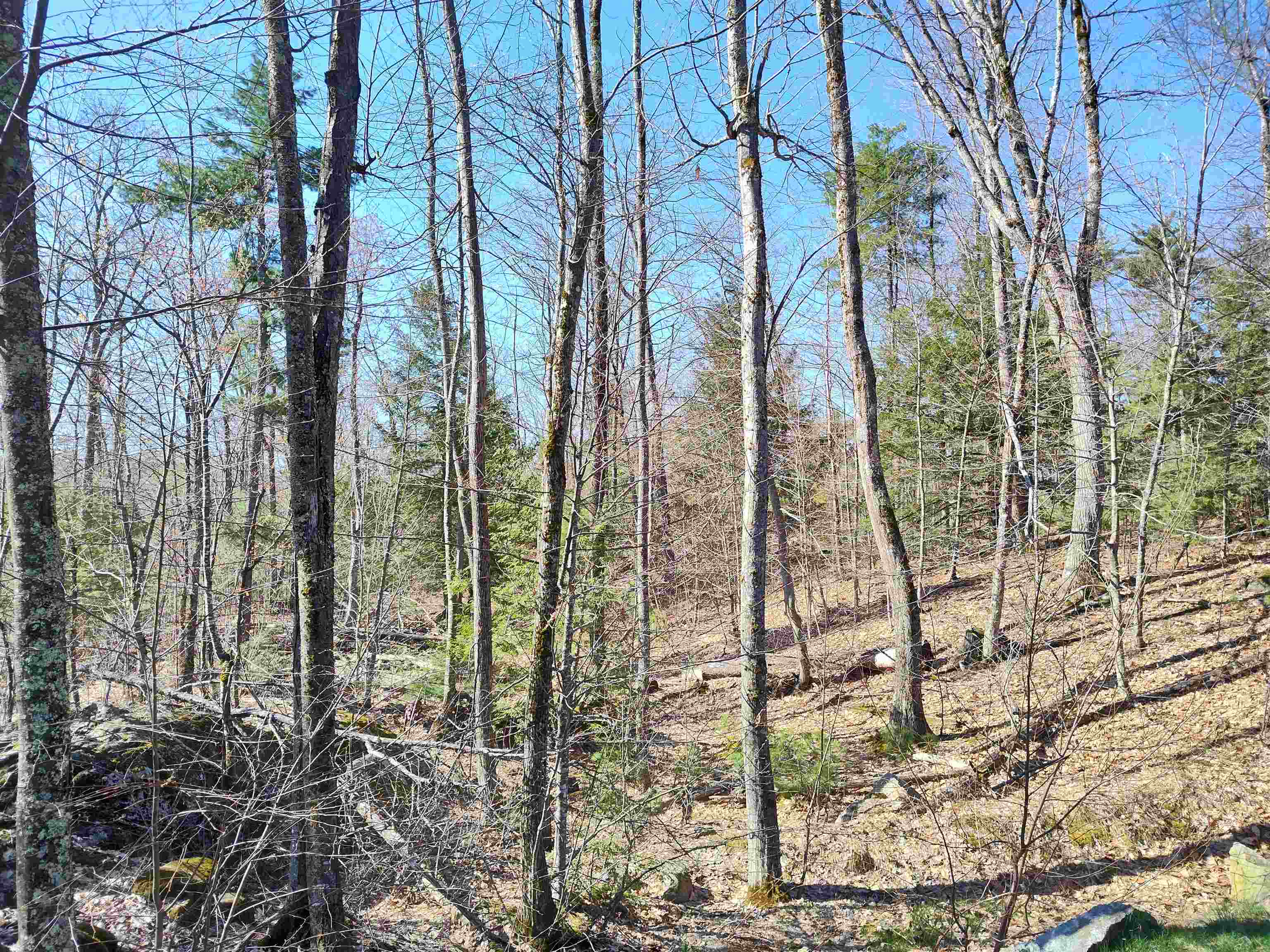 Lot 8 Clark Hill Road, Unit 8 New Boston, NH 03070 - Photo 30 of 31 Gallery Image 30