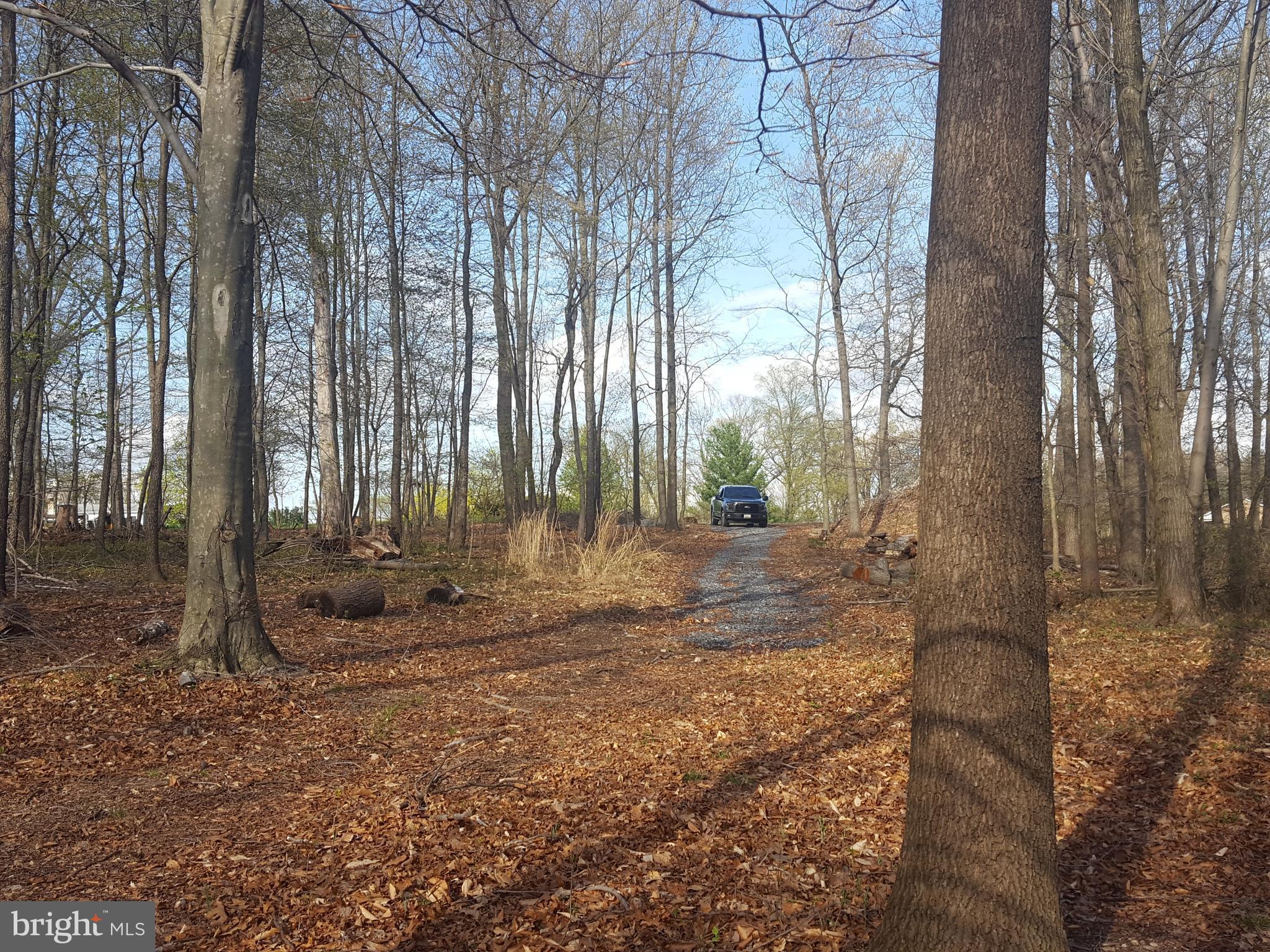 Ball Road Frederick, MD 21704 - Photo 2 of 10 View from home site looking east towards entrance