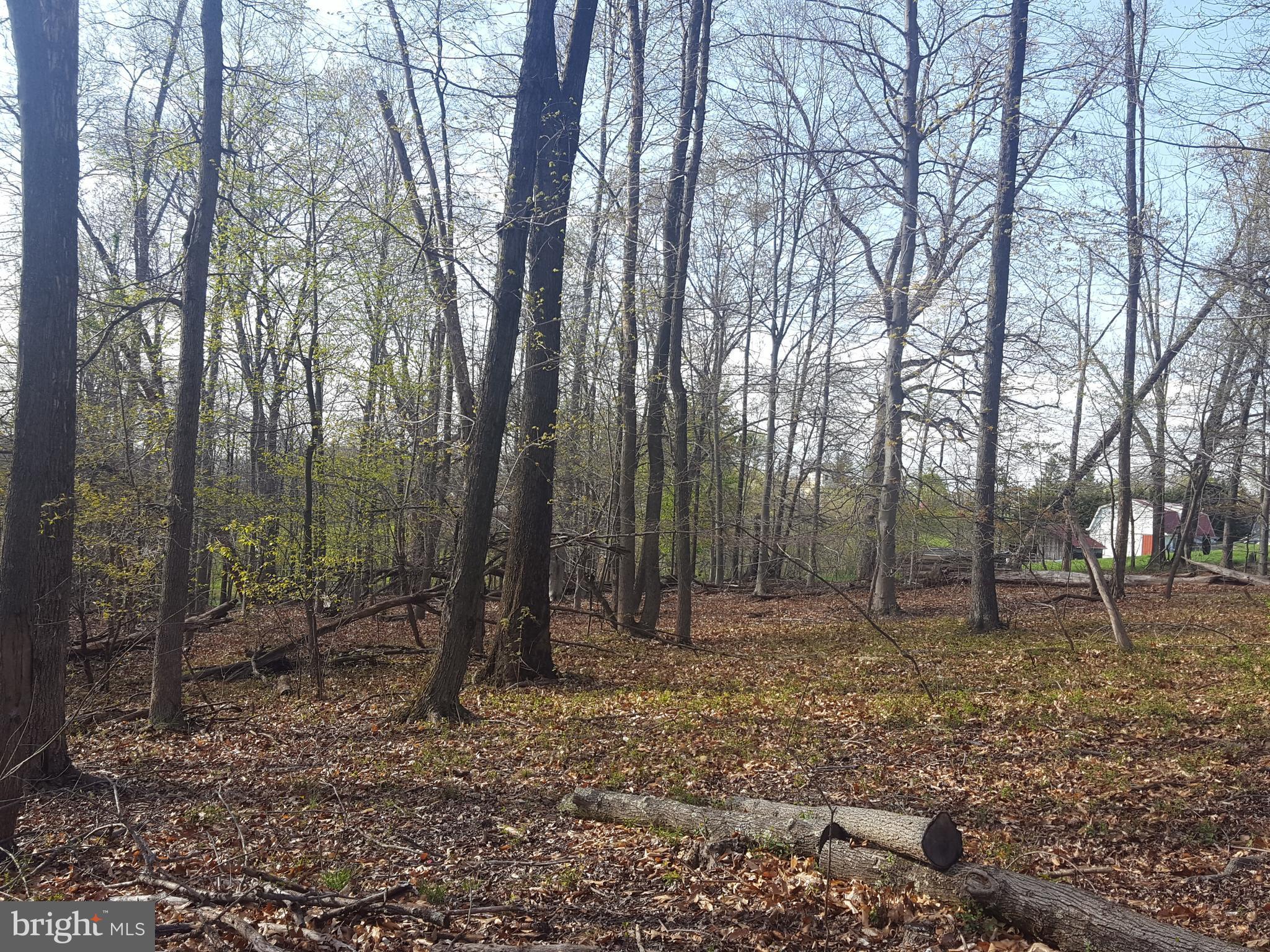 Ball Road Frederick, MD 21704 - Photo 3 of 10 view from home site looking north