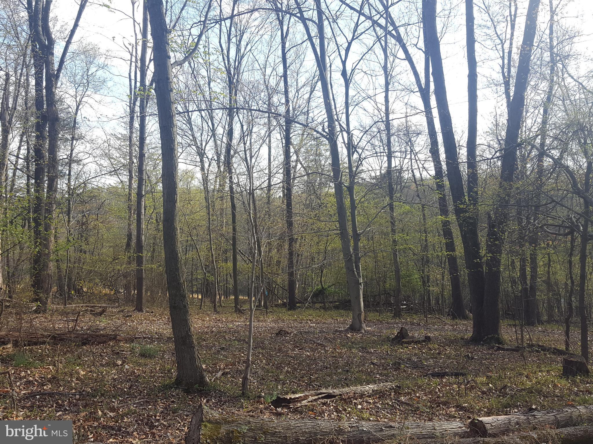 Ball Road Frederick, MD 21704 - Photo 5 of 10 view from home site looking west