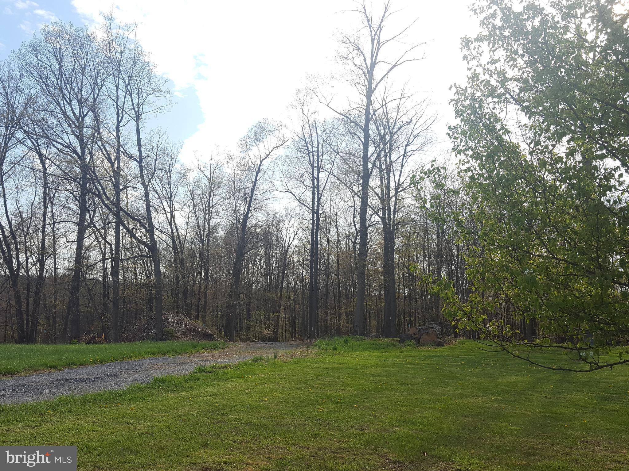 Ball Road Frederick, MD 21704 - Photo 7 of 10 view of approach to the property