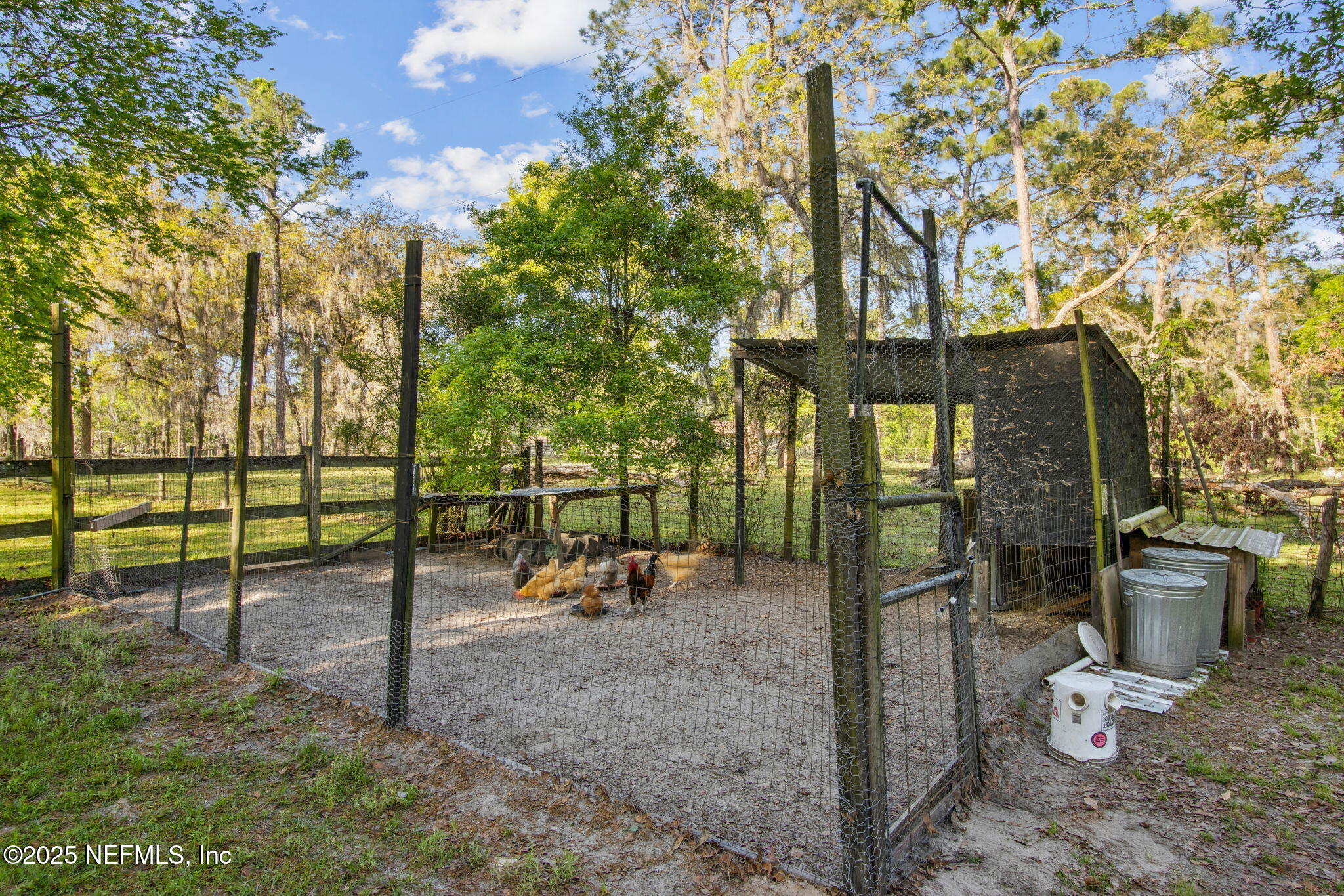 812 Jonathan Road Jacksonville, FL 32234 - Photo 38 of 57 50-web-or-mls-812 Johnathan Rd (32 of 69