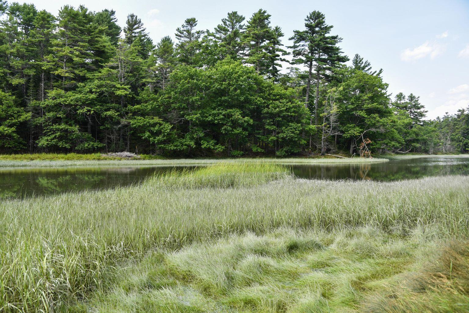 49 Cranberry Ridge Road Freeport, ME 04032 - Photo 4 of 5 Megeso 16
