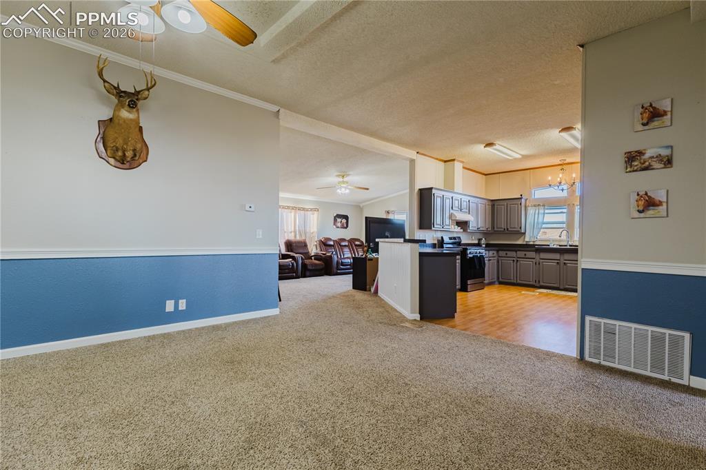25220 Myers Road Colorado Springs, CO 80928 - Photo 3 of 22