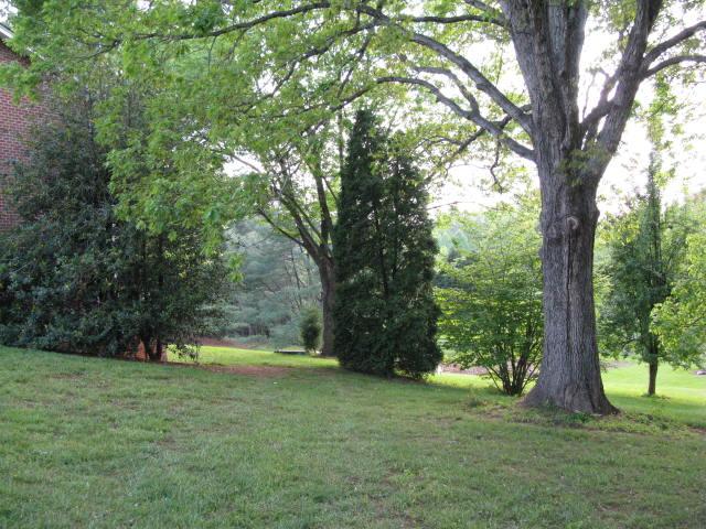 1383 Johnson School Road Thaxton, VA 24174 - Photo 3 of 22 a view of outdoor space