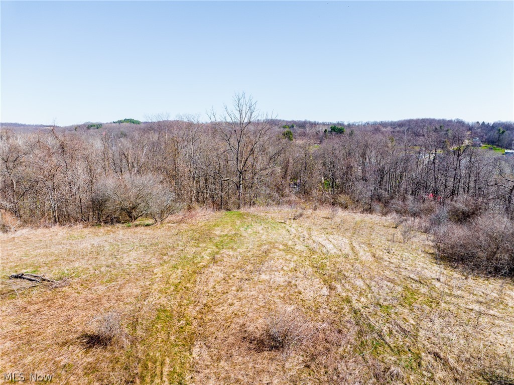 135 Township Road Adena, OH 43901 - Photo 38 of 47