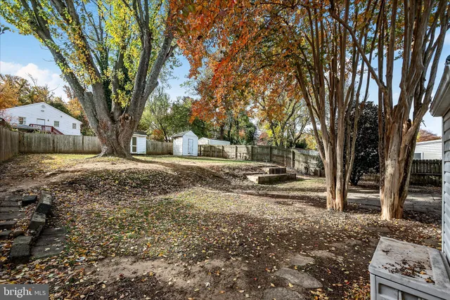 a view of a yard with a tree