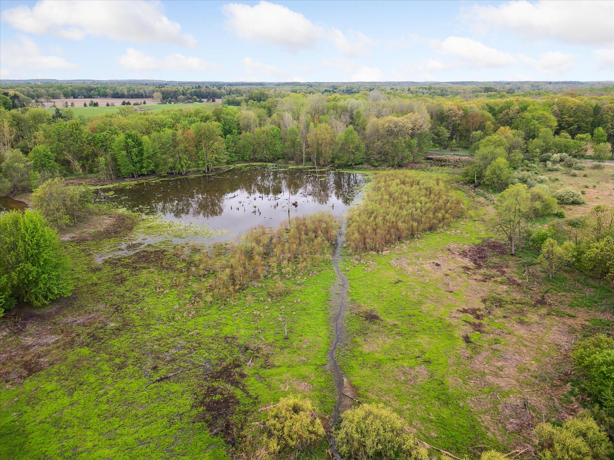 5580 East Snows Lake Road Fenwick, MI 48834 - Photo 6 of 9 5-11010-Vickeryville-Rd-Fenwick-MI-48834