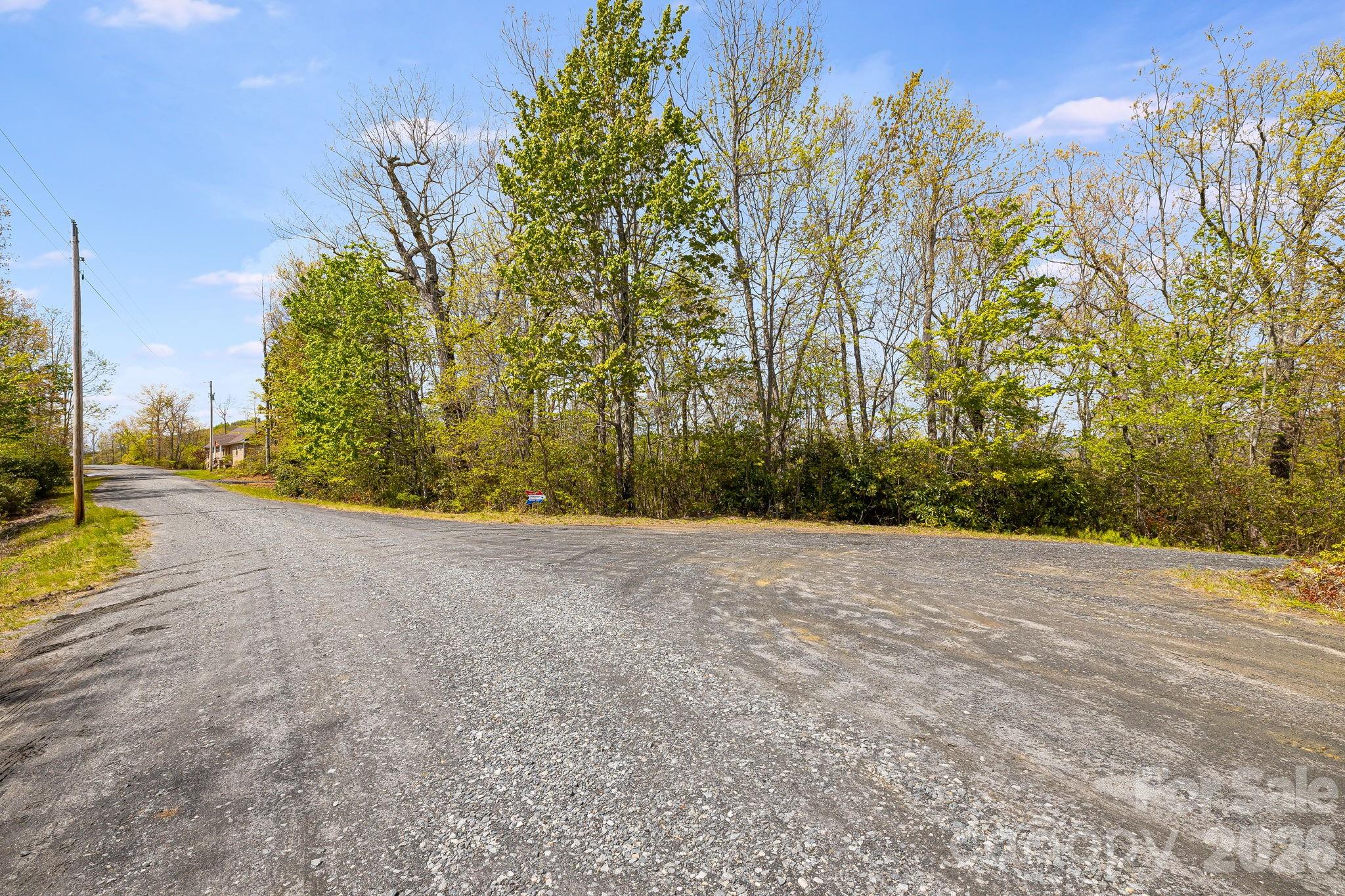 Lot 27 Trails End Road, Unit 27 Spruce Pine, NC 28777 - Photo 10 of 42