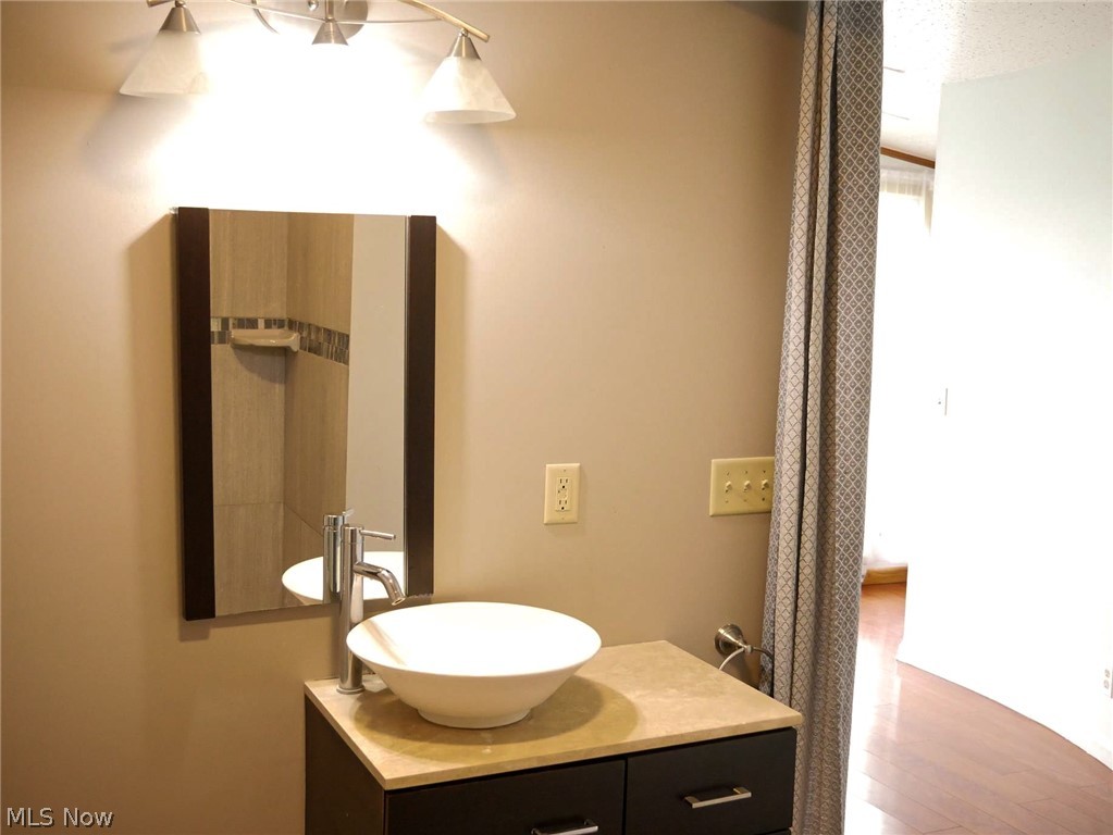 1082 Shields Road Youngstown, OH 44511 - Photo 14 of 21 Sink and vanity in bath. A double barn door wood be perfect here.