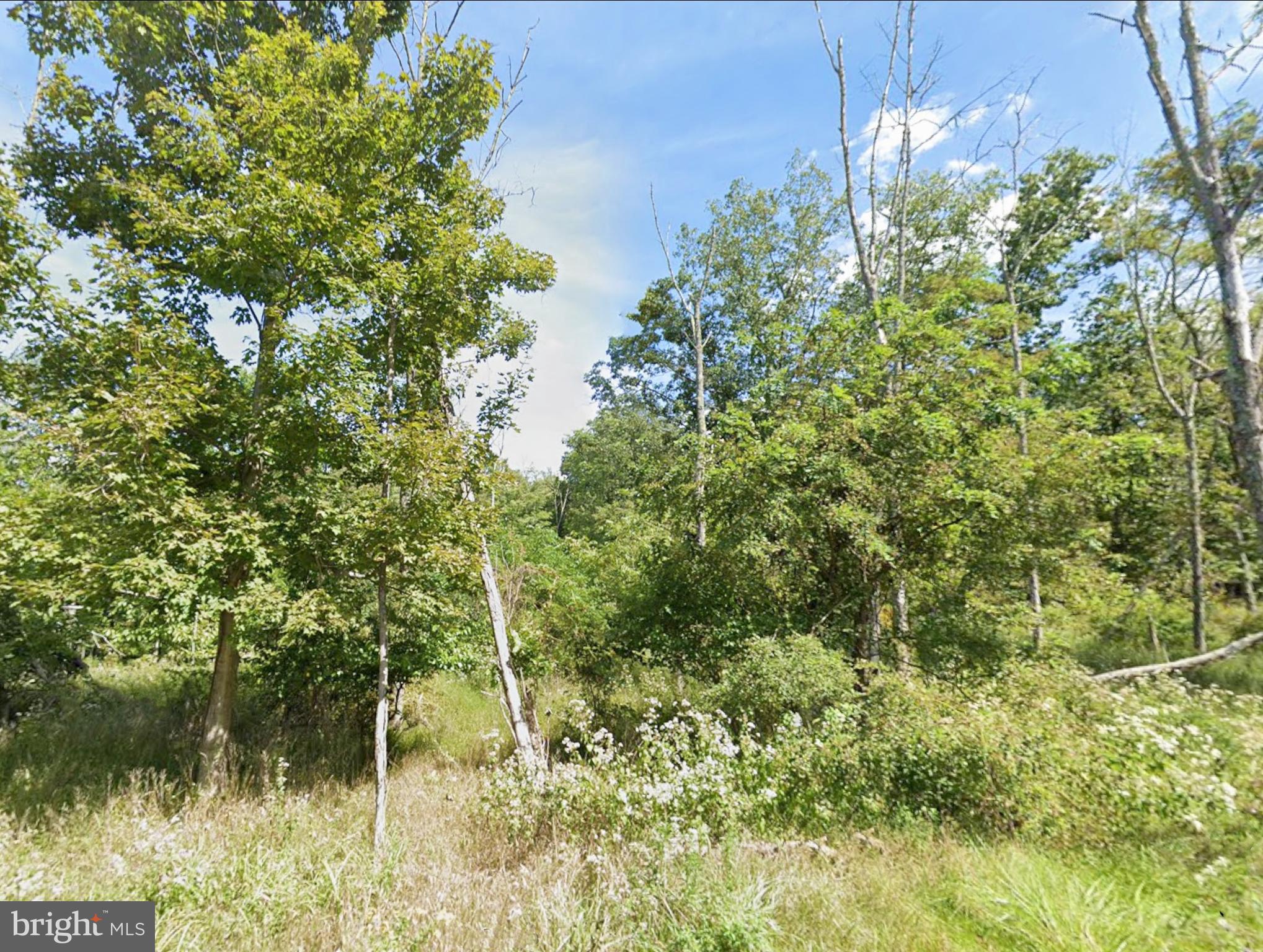 0 Juniata Valley Road Hollidaysburg, PA 16648 - Photo 5 of 13 a view of a garden