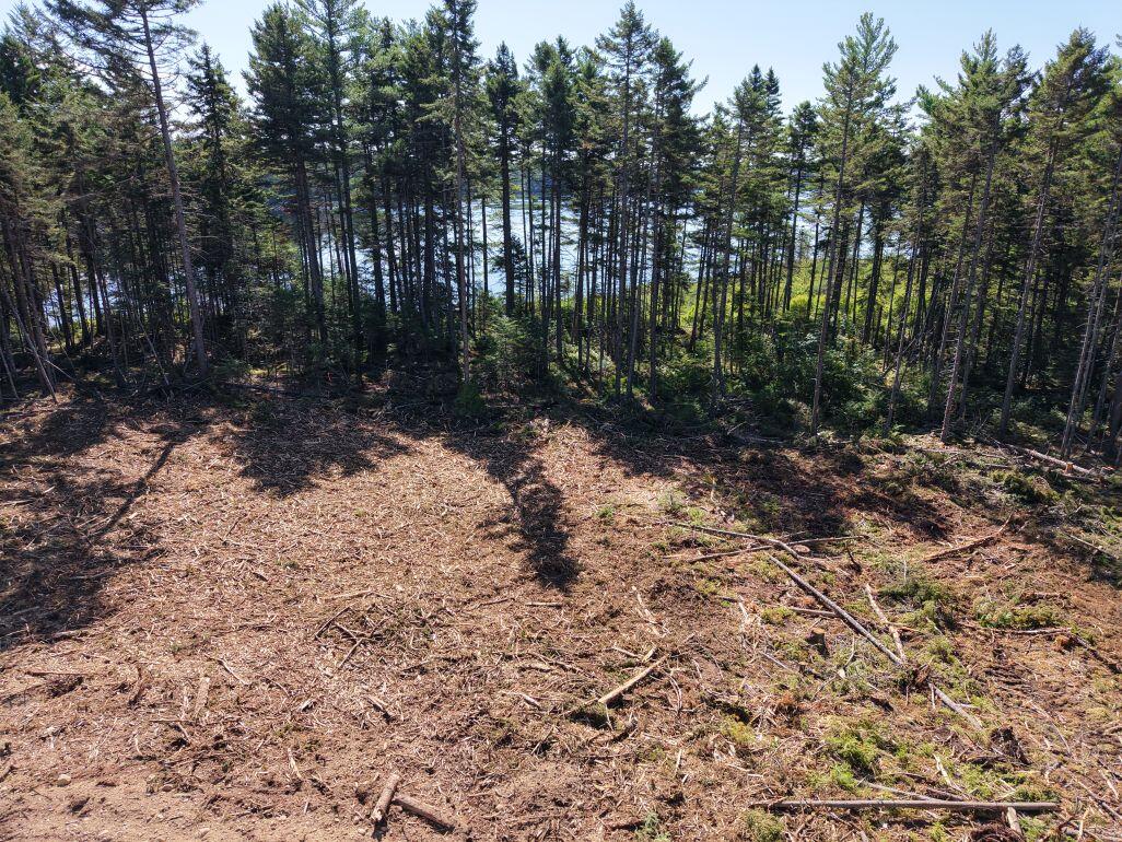 Ms03-l17.3 Middle Carry Pond Road New Portland, ME 04961 - Photo 19 of 25 DJI_20260821101310_0011_D