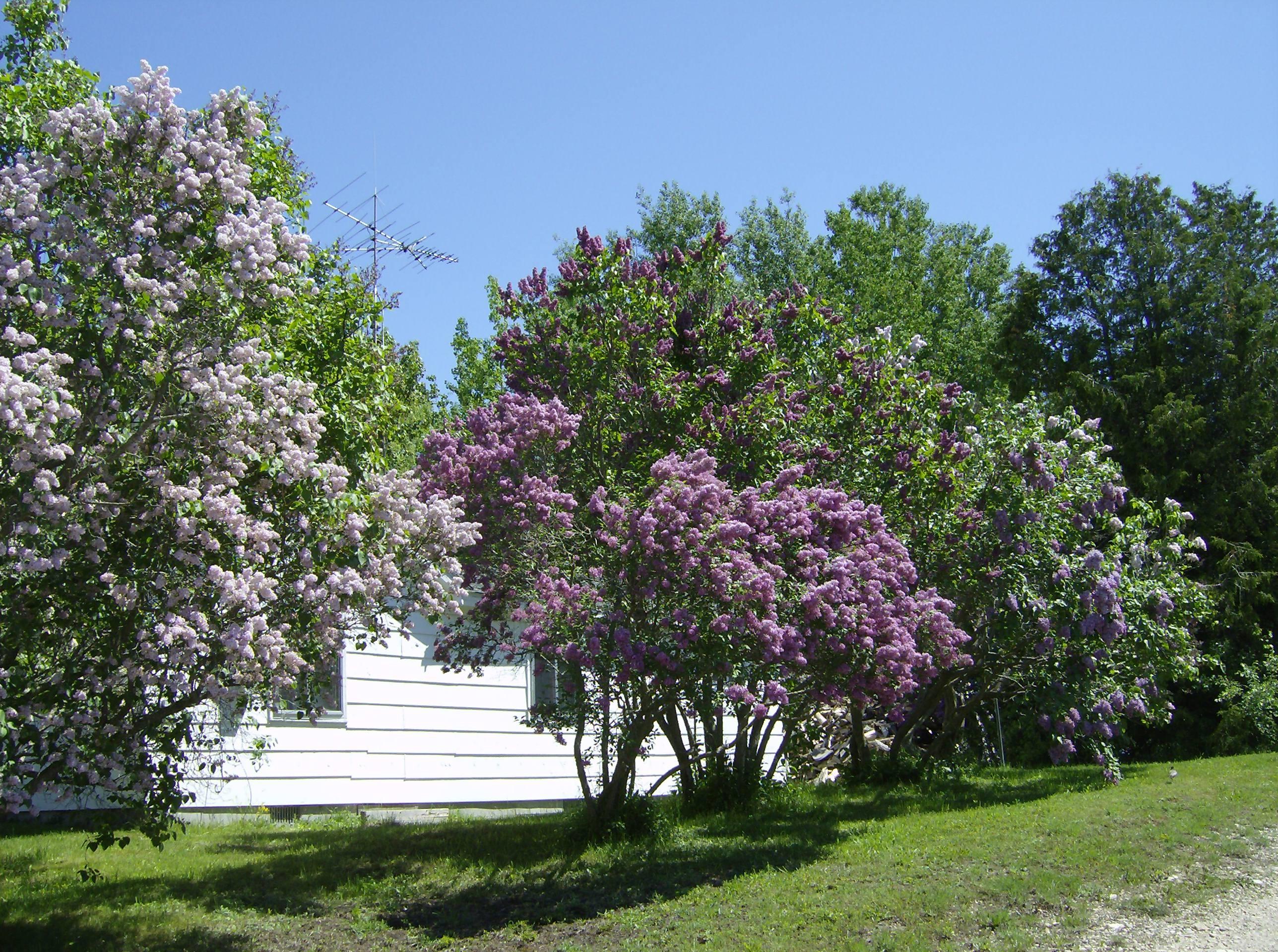 181 North Boundary Road St. Ignace, MI 49781 - Photo 12 of 13 Gallery Image 12