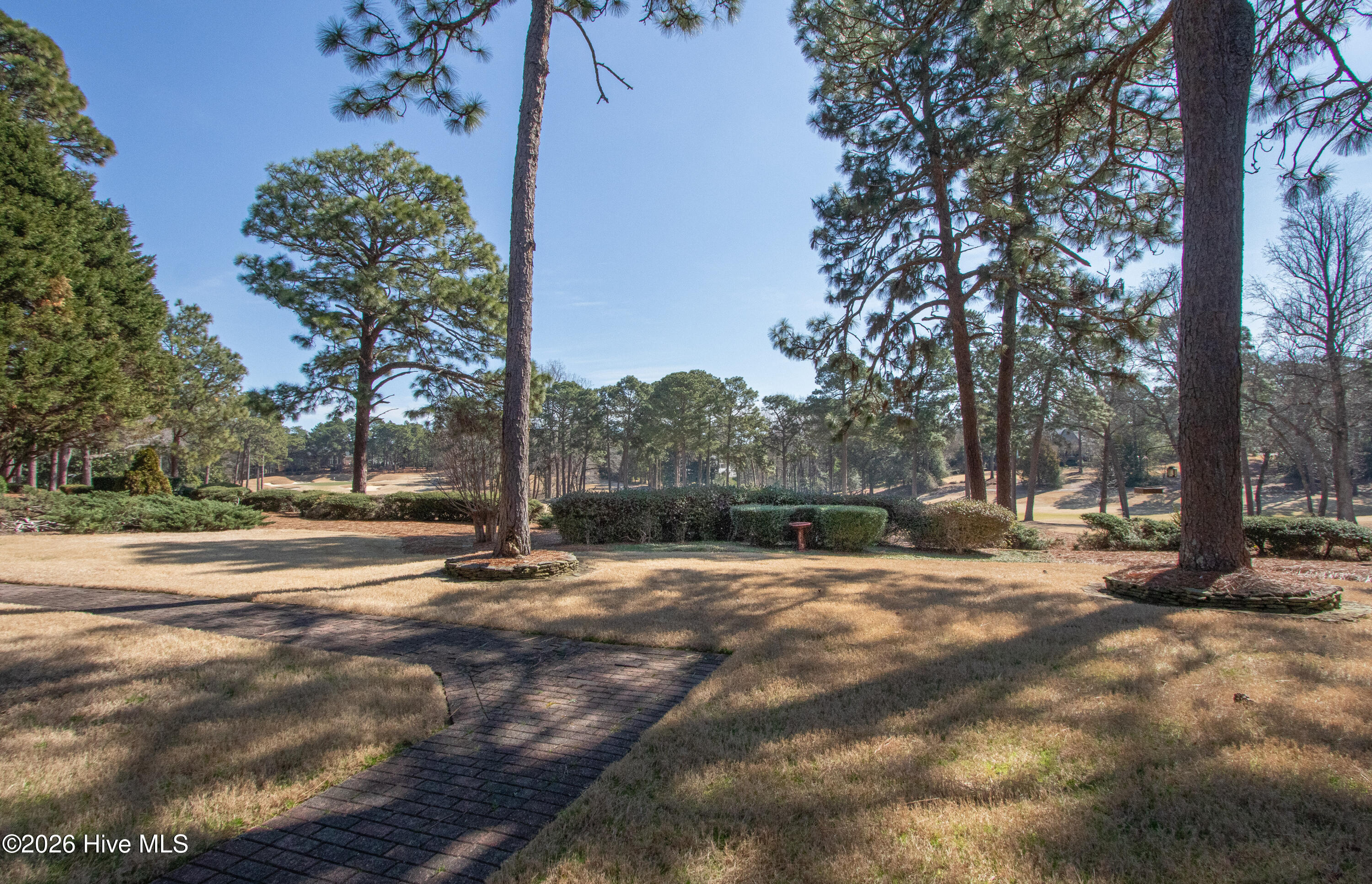 175 Brookhaven Road Pinehurst, NC 28374 - Photo 37 of 45 BackYard1