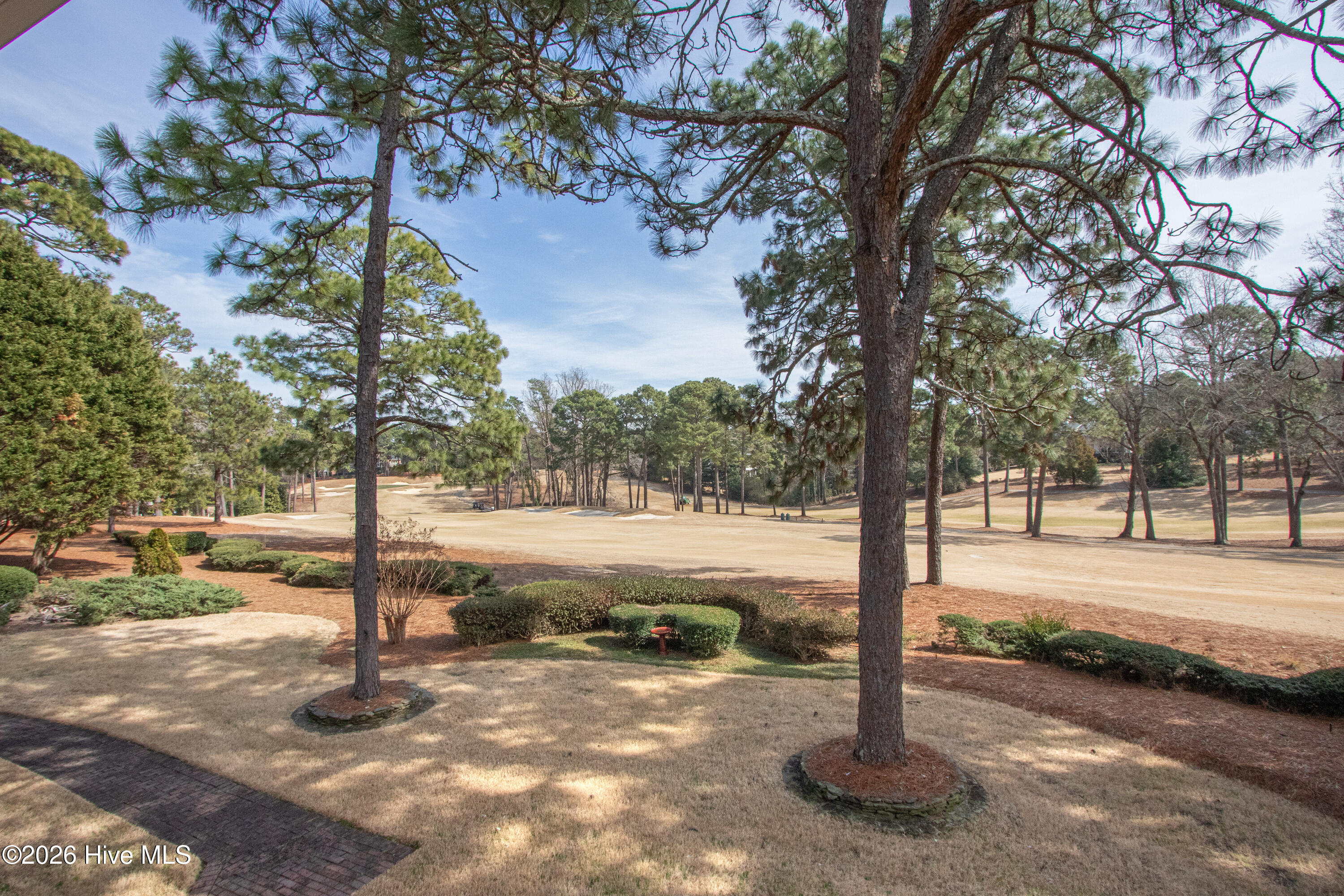 175 Brookhaven Road Pinehurst, NC 28374 - Photo 38 of 45 BackYard2