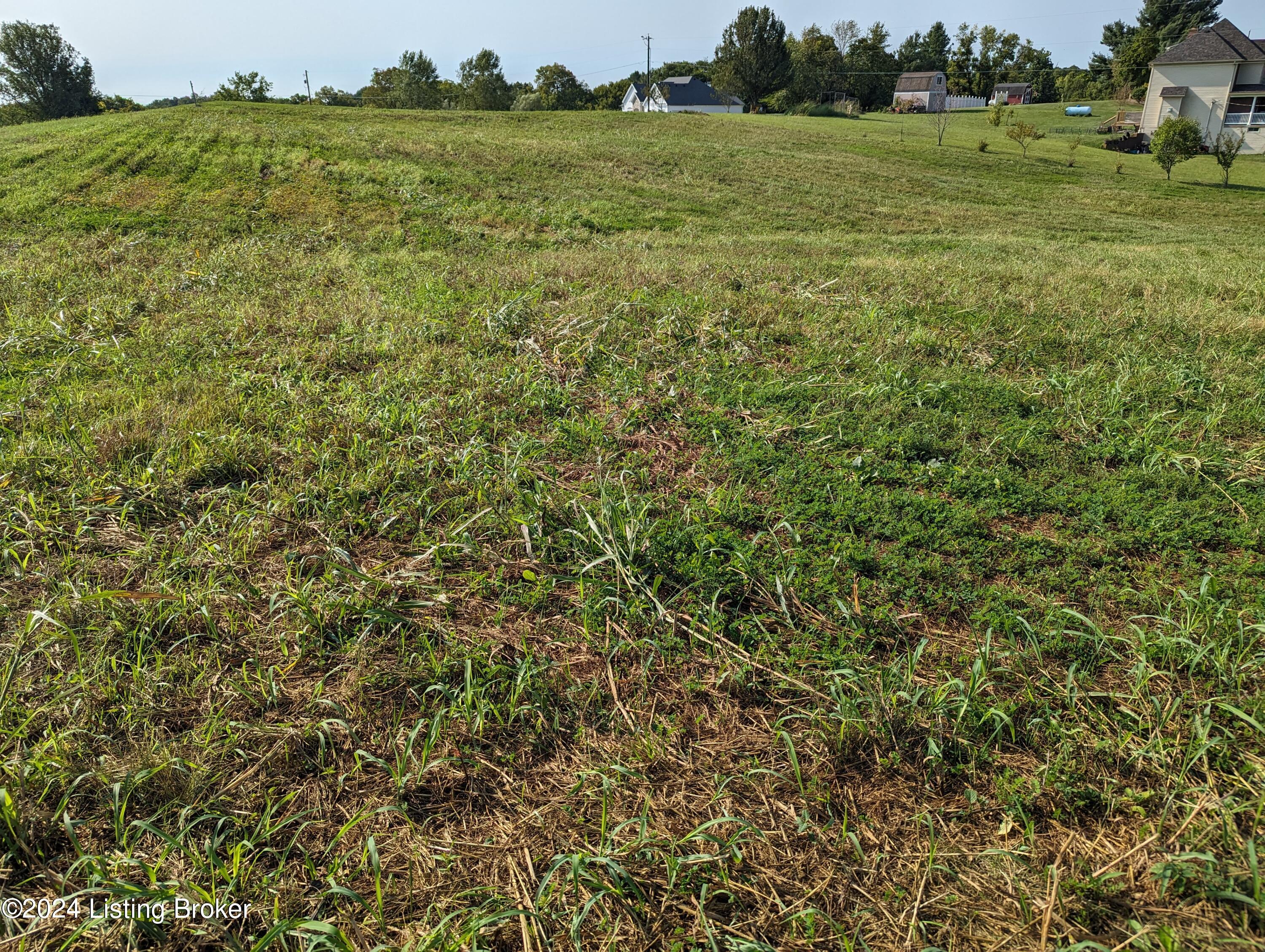 1 4 4 Pond Road Taylorsville, KY 40071 - Photo 1 of 4 PXL_20240820_141100378