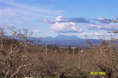 7849 Kennedy Road Sebastopol, CA 95472 - Photo 1 of 4 a view of a city with lush green forest