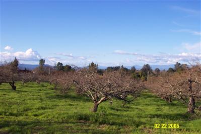 7849 Kennedy Road Sebastopol, CA 95472 - Photo 2 of 4 a view of a city