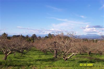 7849 Kennedy Road Sebastopol, CA 95472 - Photo 3 of 4 a view of lake and mountain