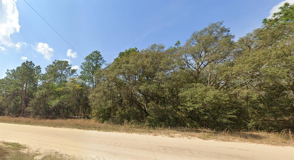 Southwest 125th Court Road Ocala, FL 34481 - Photo 1 of 1 Gallery Image 1