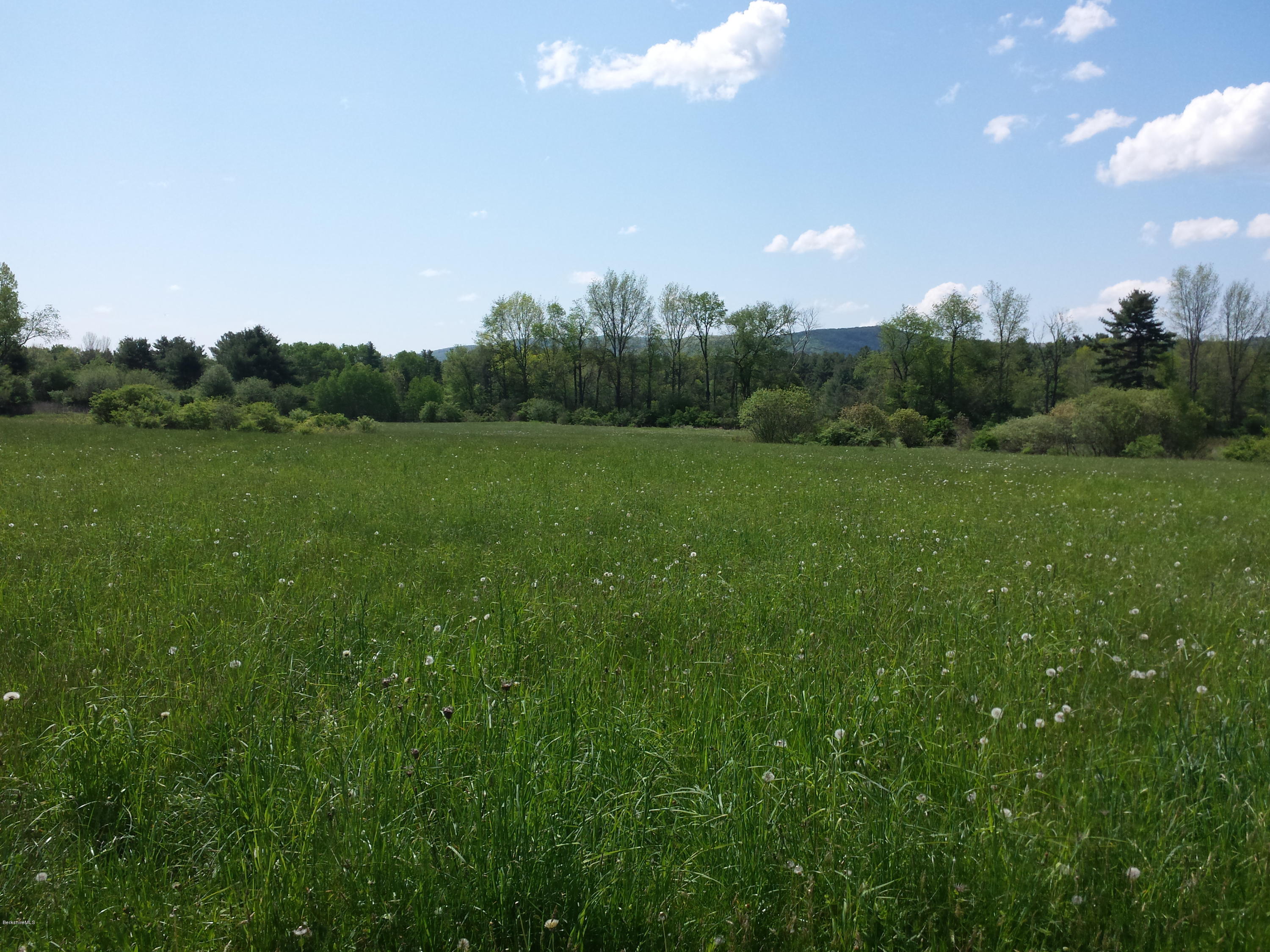 Gutmann pasture