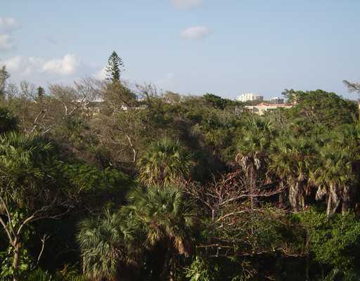 2121 North Ocean Boulevard, Unit 404E Boca Raton, FL 33431 - Photo 4 of 25 Additional Photo