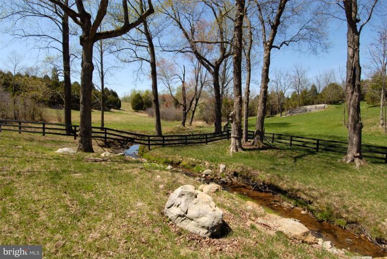6420 Rattle Branch Road Marshall, VA 20115 - Photo 4 of 22 Wooded View / Acreage