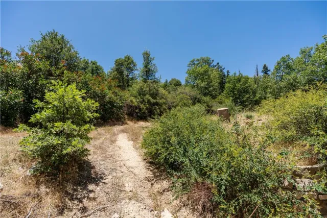 a view of a large yard with lots of green space