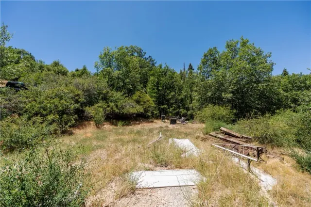 a view of a yard with trees