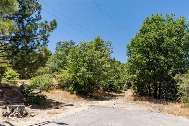 a view of a backyard of the house