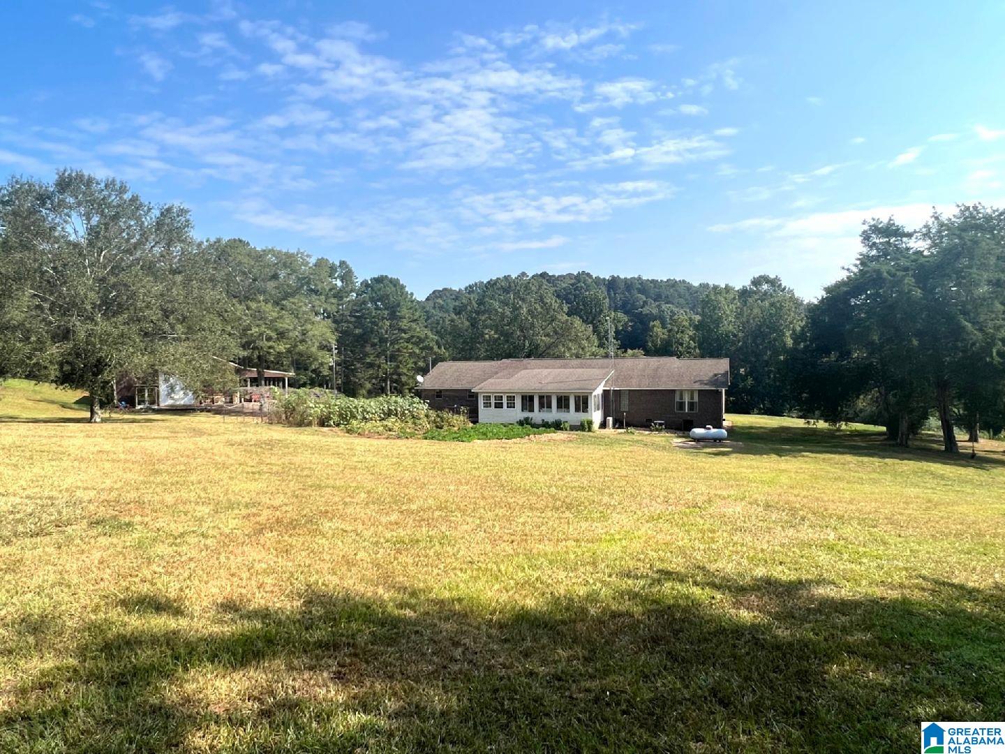 254 Summerlin Circle Delta, AL 36258 - Photo 3 of 55