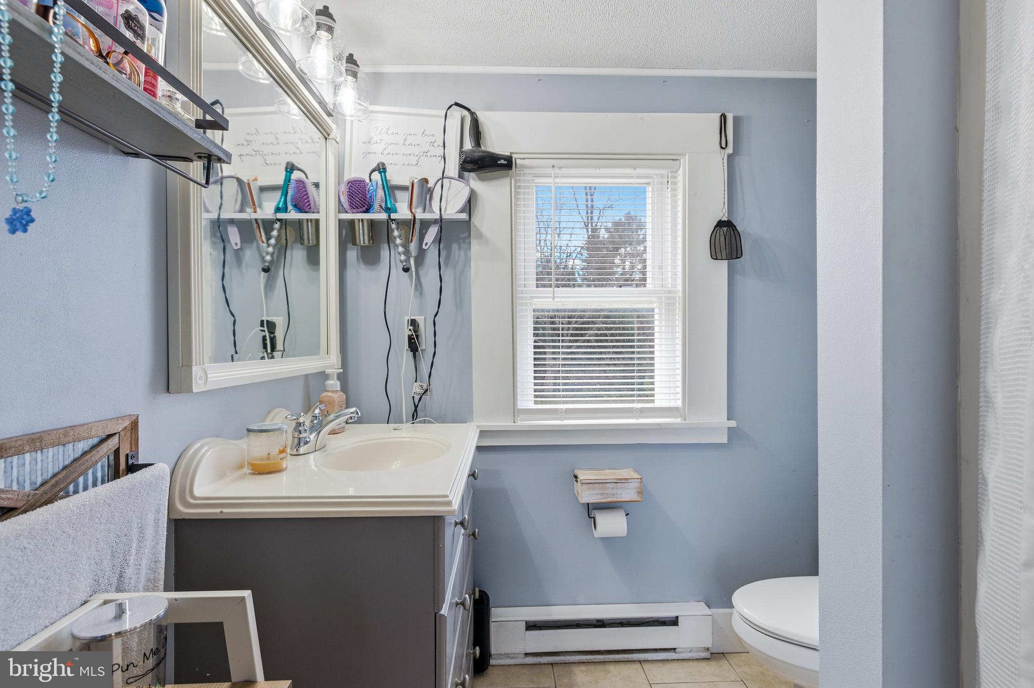 214 Chapel Road Stanley, VA 22851 - Photo 28 of 74 a bathroom with a sink vanity mirror and toilet