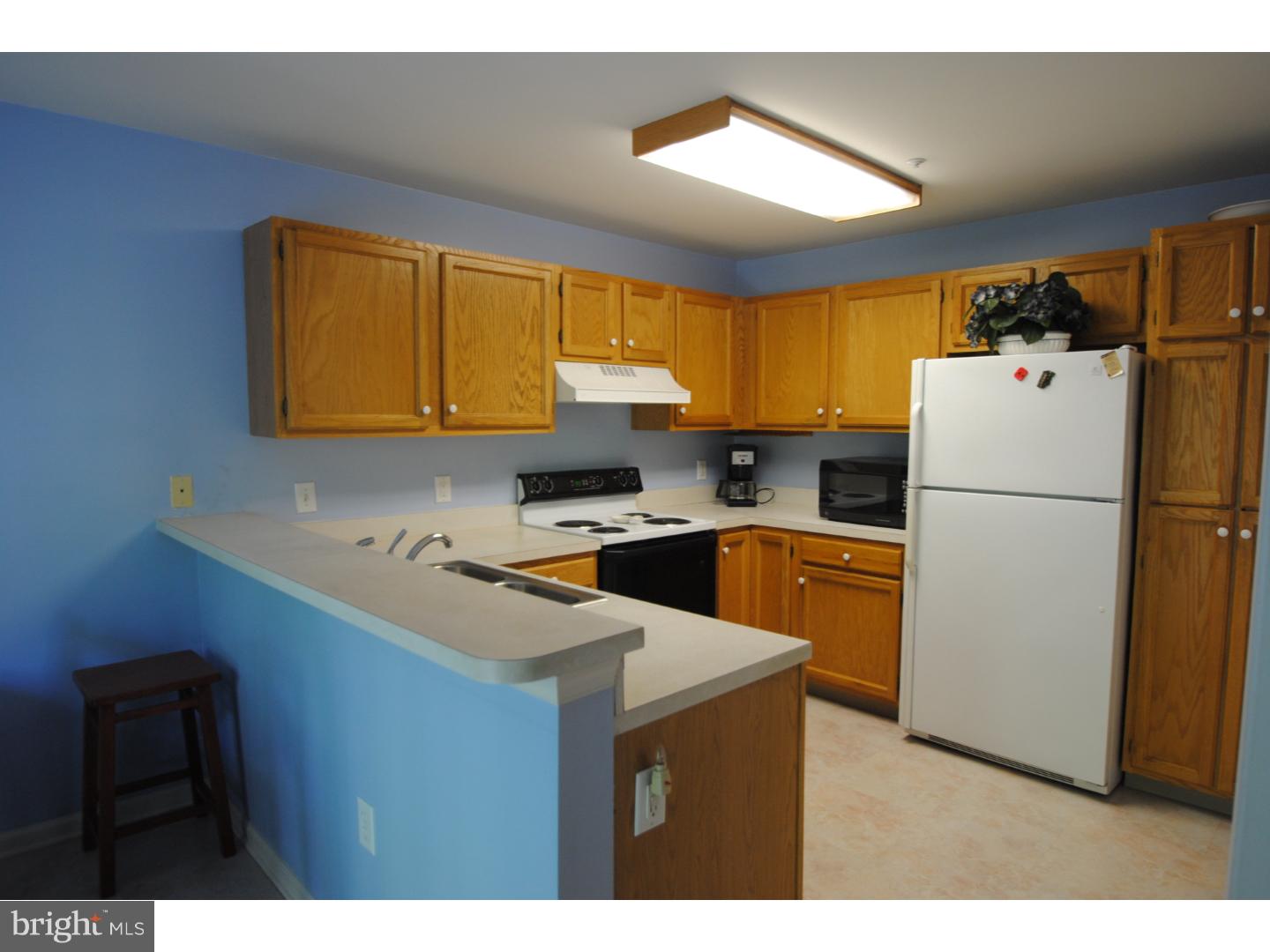 1302 Independence Way Newark, DE 19713 - Photo 4 of 18 Kitchen