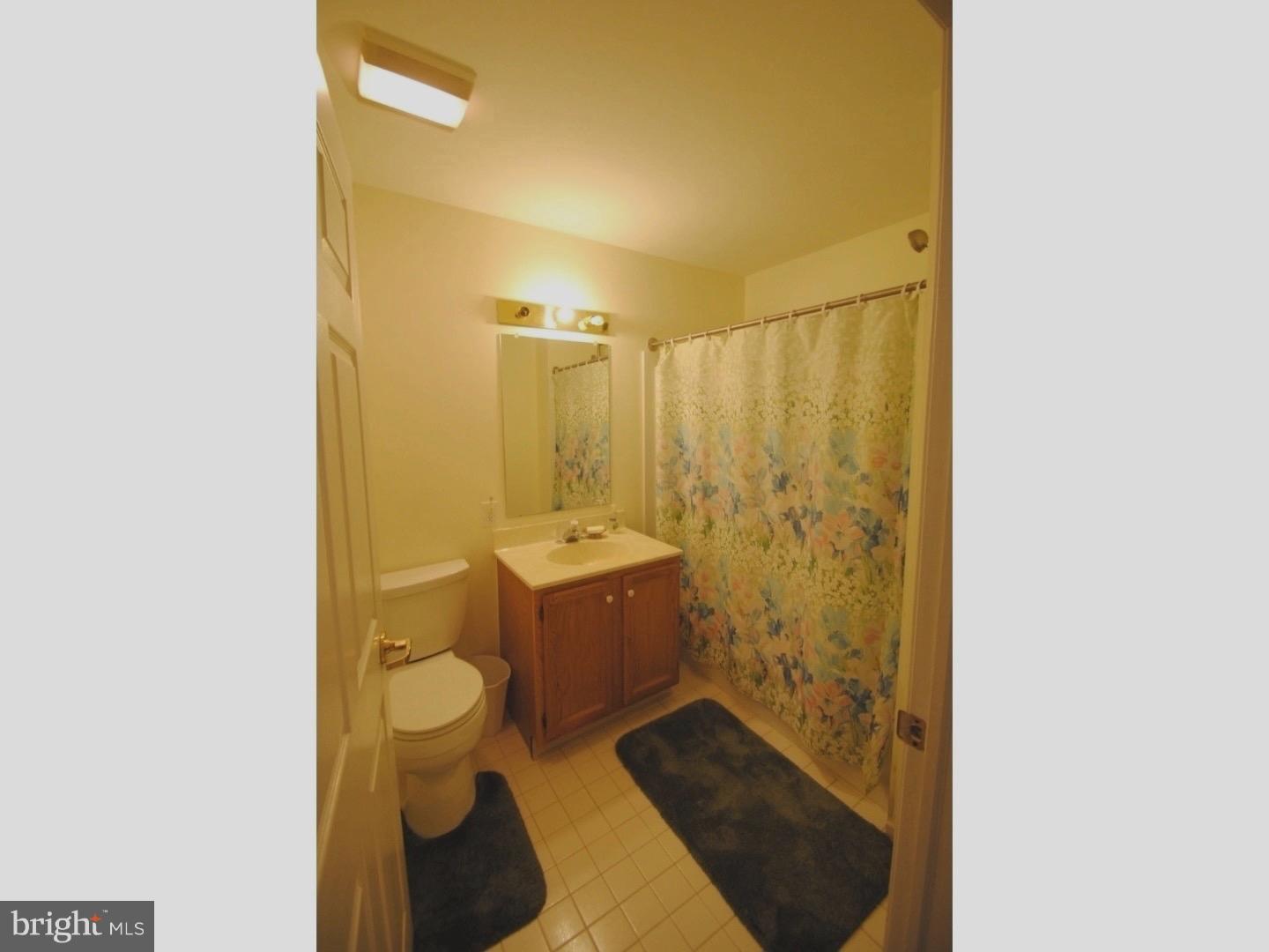 1302 Independence Way Newark, DE 19713 - Photo 10 of 18 Bathroom