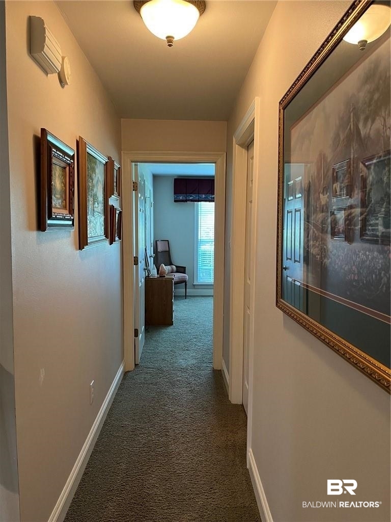 16311 Old Brady Road Bay Minette, AL 36507 - Photo 23 of 38 Hallway featuring neutral-toned carpet flooring, light-colored walls, and a ceiling-mounted light fixture