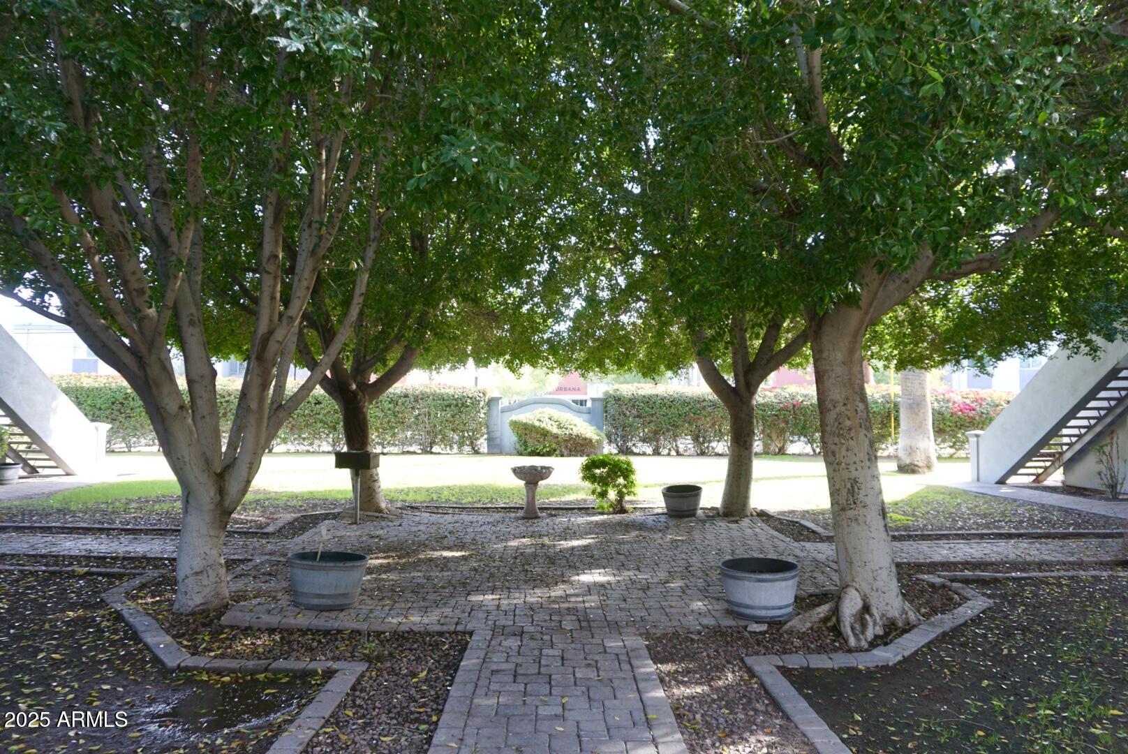 4224 North 12th Street, Unit 209 Phoenix, AZ 85014 - Photo 13 of 14 DSC05709