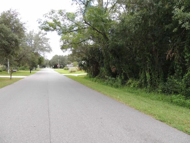a view of a road with a yard and a large trees