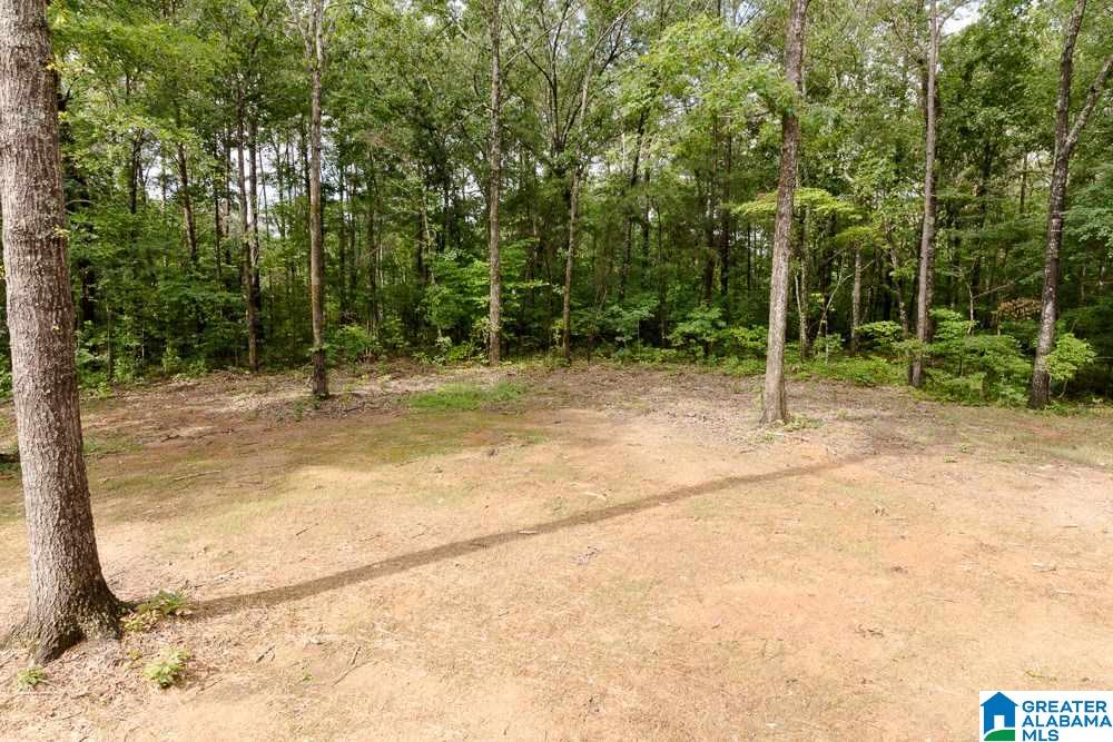 21305 Callie Circle McCalla, AL 35111 - Photo 41 of 50
