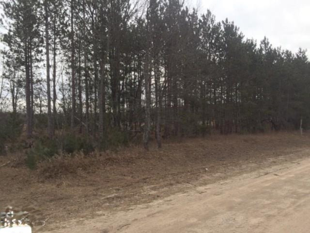 Psutka Road Thompsonville, MI 49683 - Photo 4 of 11 1828743-3