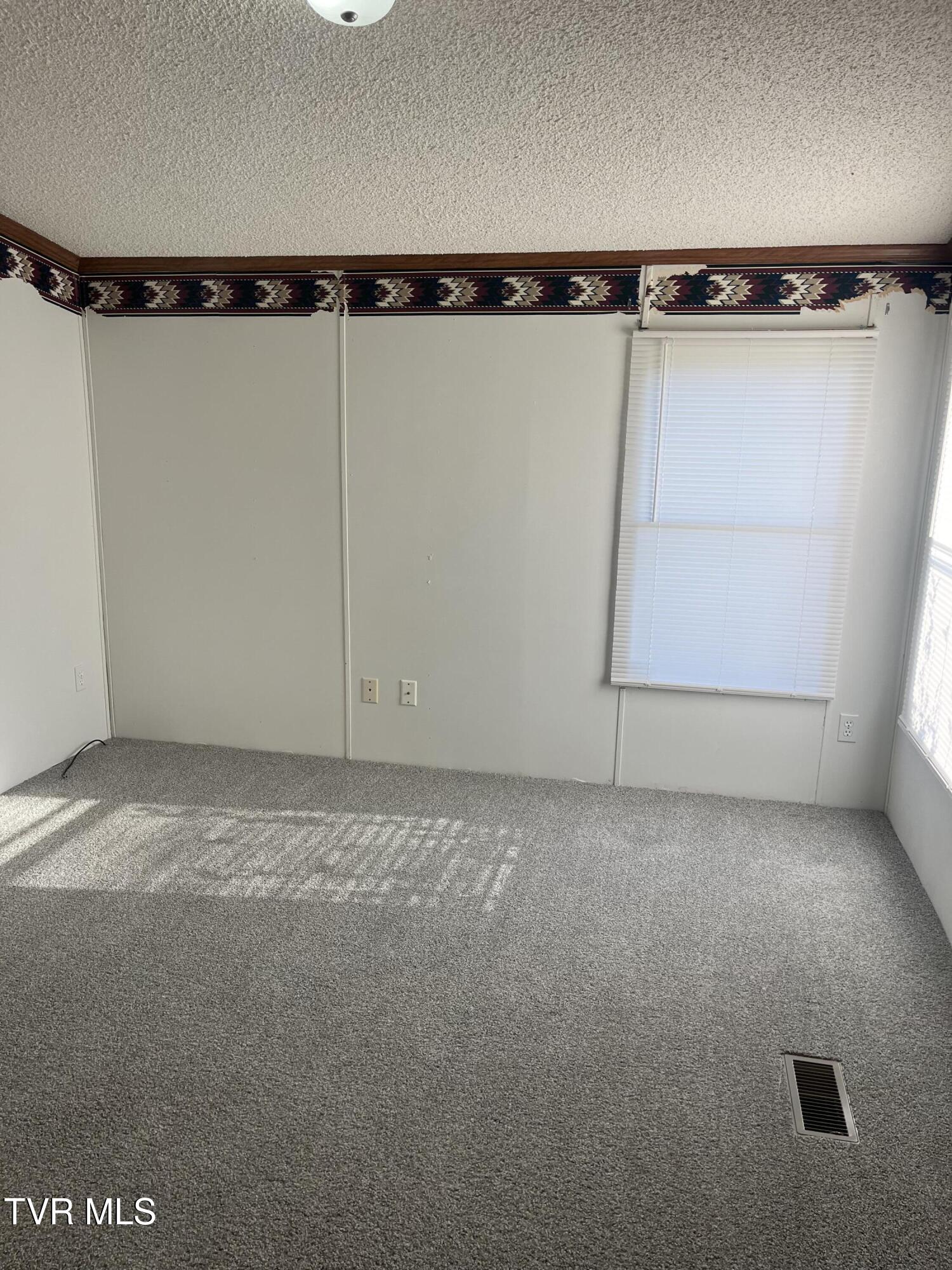 284 Parsons Eller Road Mountain City, TN 37683 - Photo 11 of 23 (Upload-from-mobile-1762735210)IMG_1946