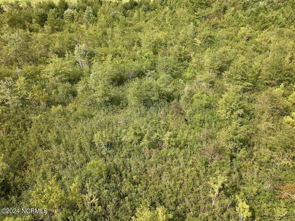 0 Davis Road Jacksonville, NC 28540 - Photo 27 of 35 26