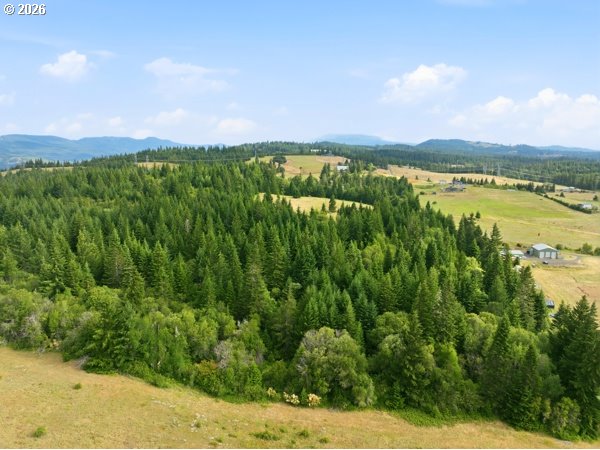 Snowden Road White Salmon, WA 98672 - Photo 14 of 26
