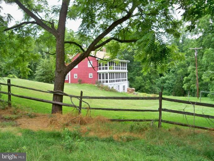 Back yard