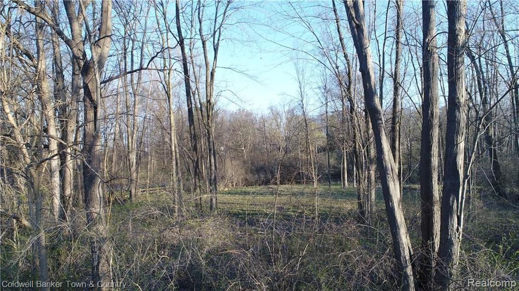 0 Sarah Pinckney, MI 48169 - Photo 21 of 24 Gallery Image 21