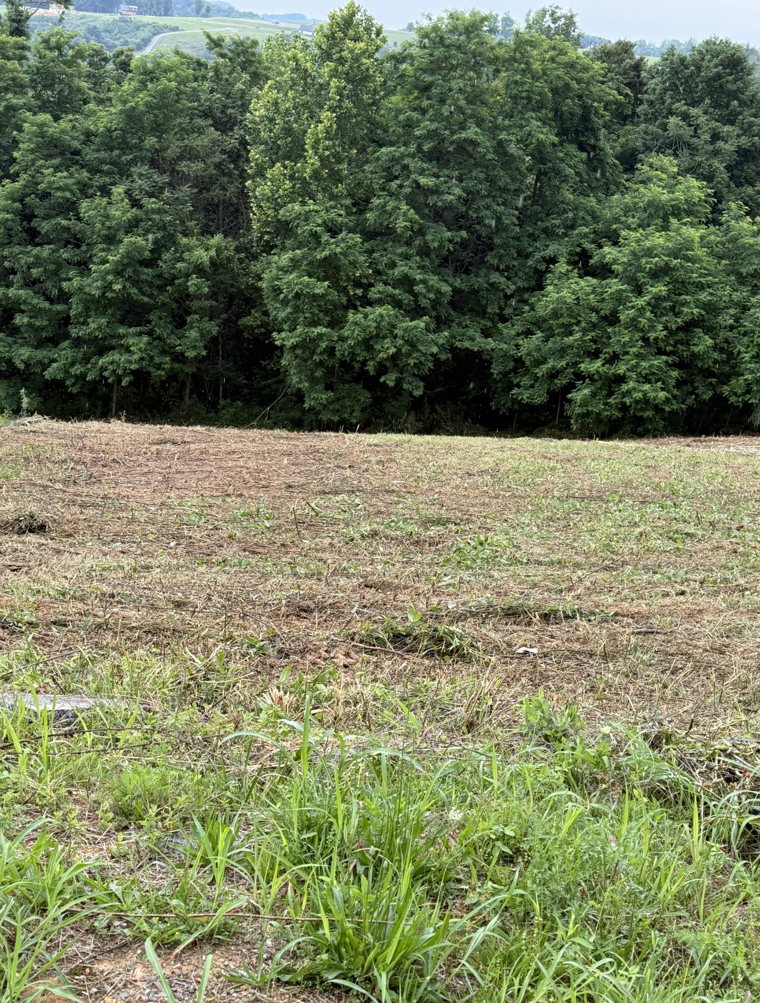 0 Mallard Road Celina, TN 38551 - Photo 3 of 18