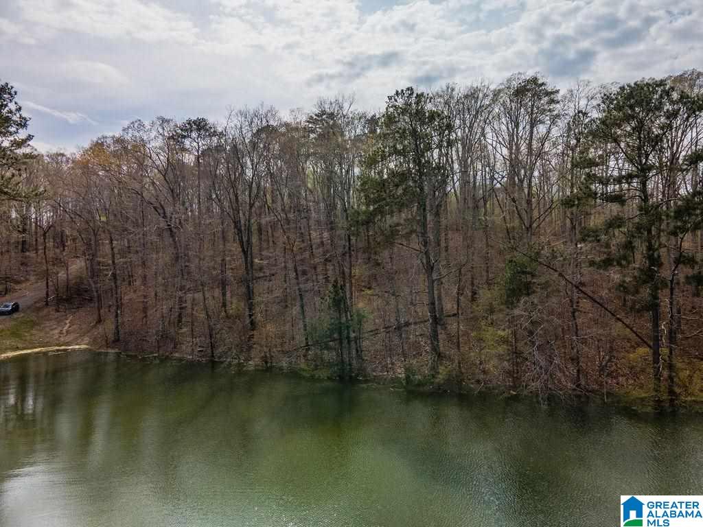 Smith Lake Dam Road Jasper, AL 35504 - Photo 8 of 15